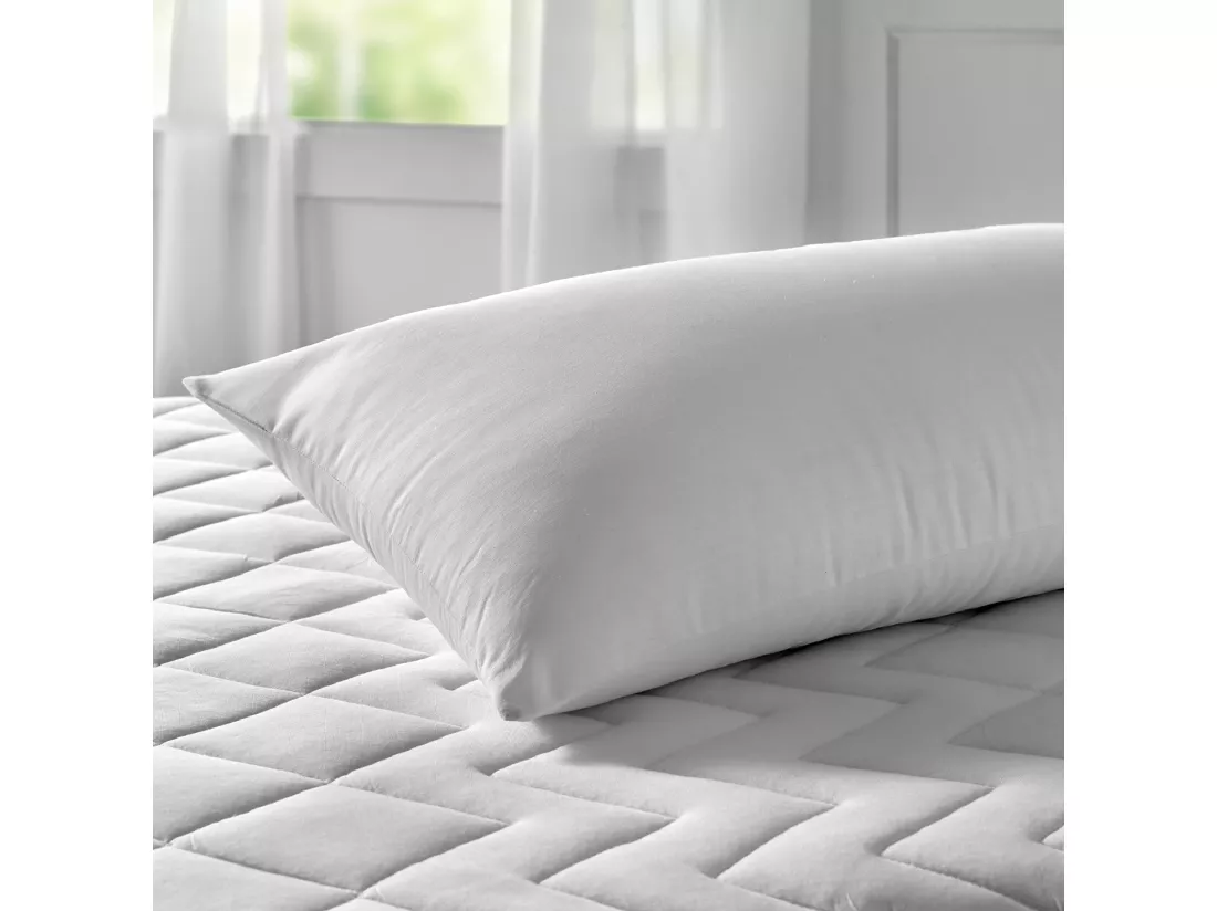 Oreiller dur 100% coton anti-acariens