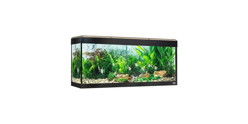 Aquarium roma éclairage led bluetooth, 240 l, chêne