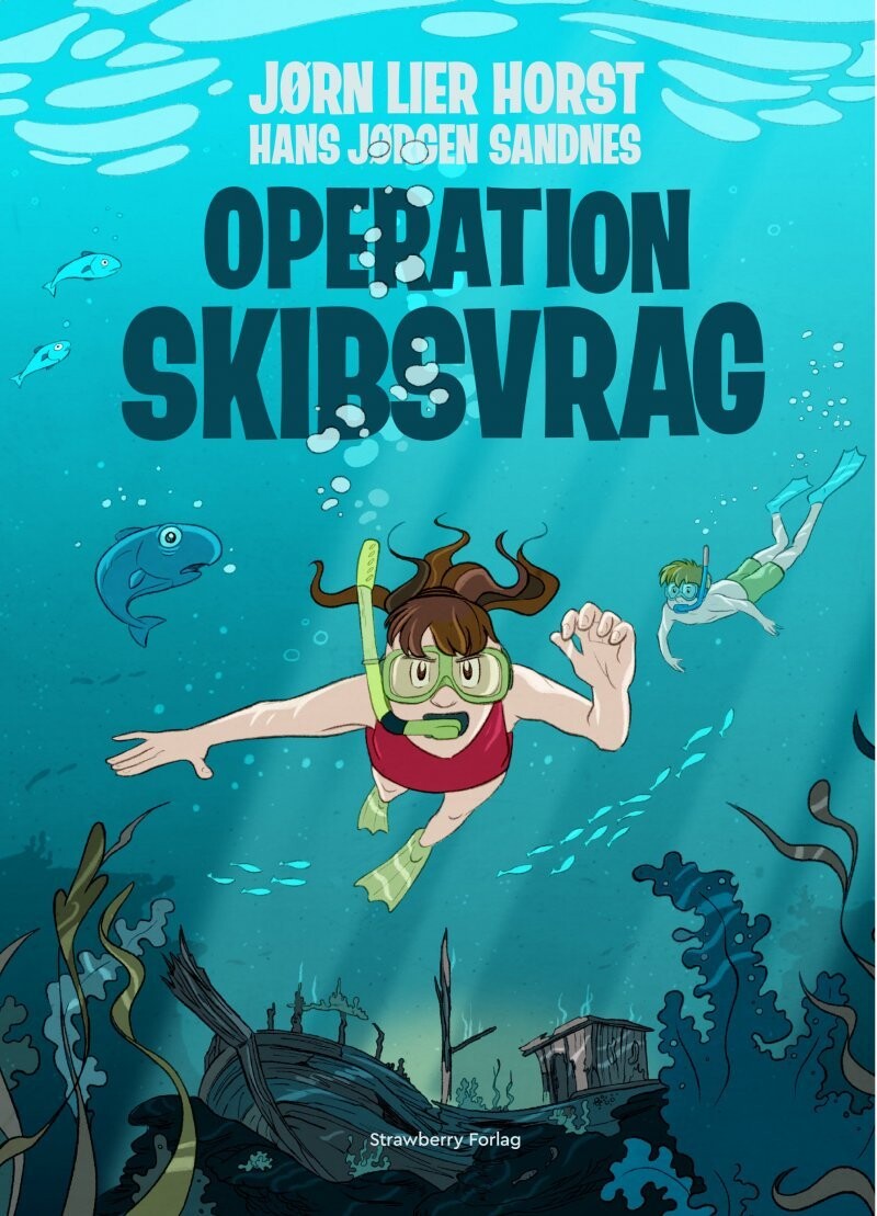 Operation Skibsvrag - Jørn Lier Horst - Bog