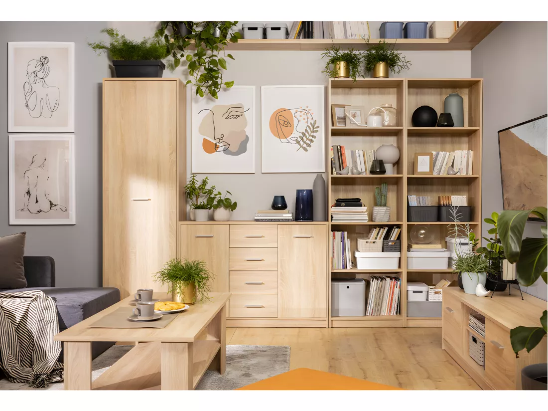 Armoire colonne 1 porte Ewen Bois