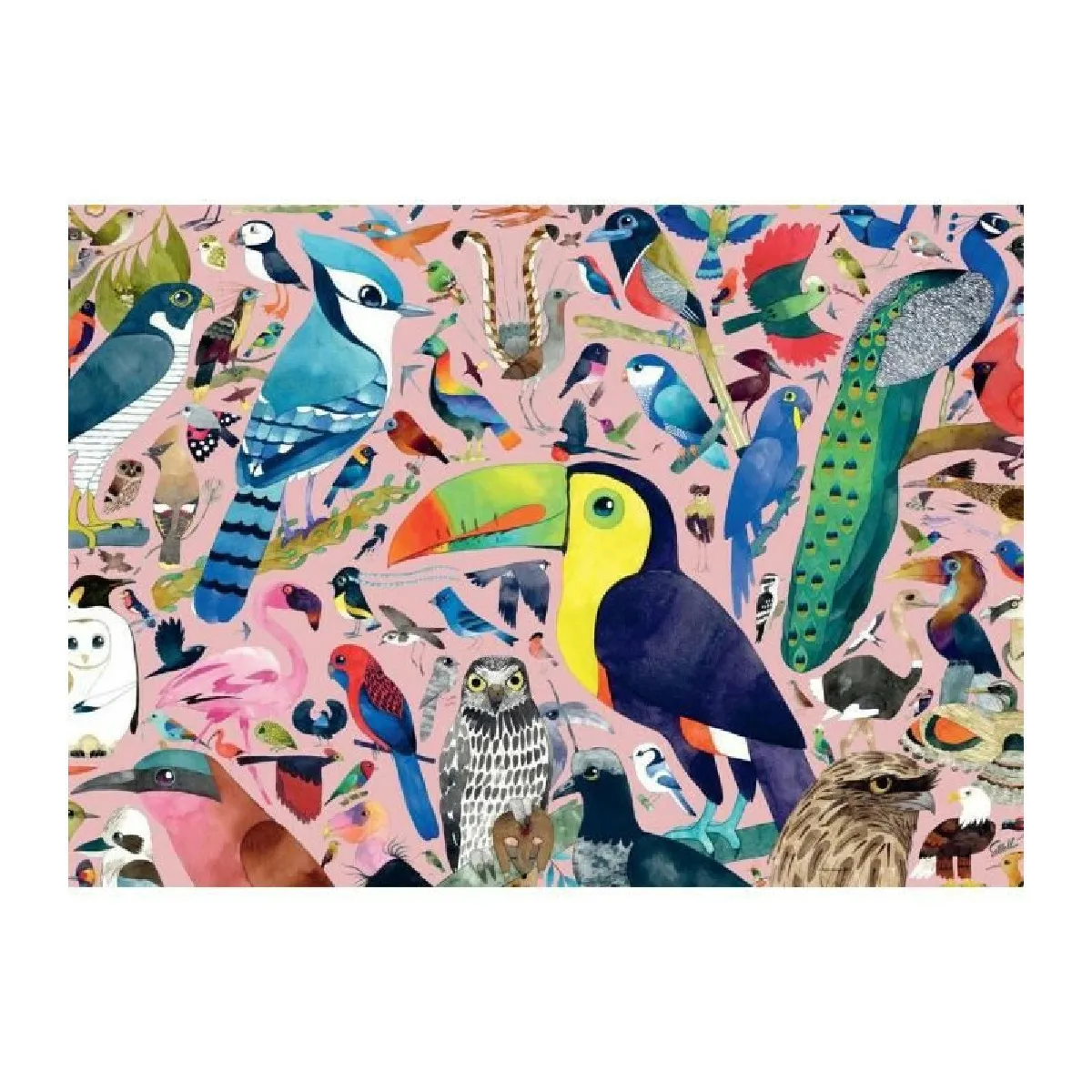 RAVENSBURGER - Oiseaux extraordinaires 1000 pièces
