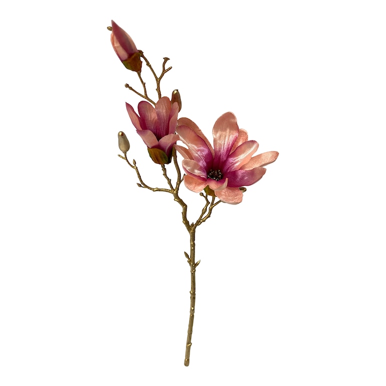 rosa, L 48 cm