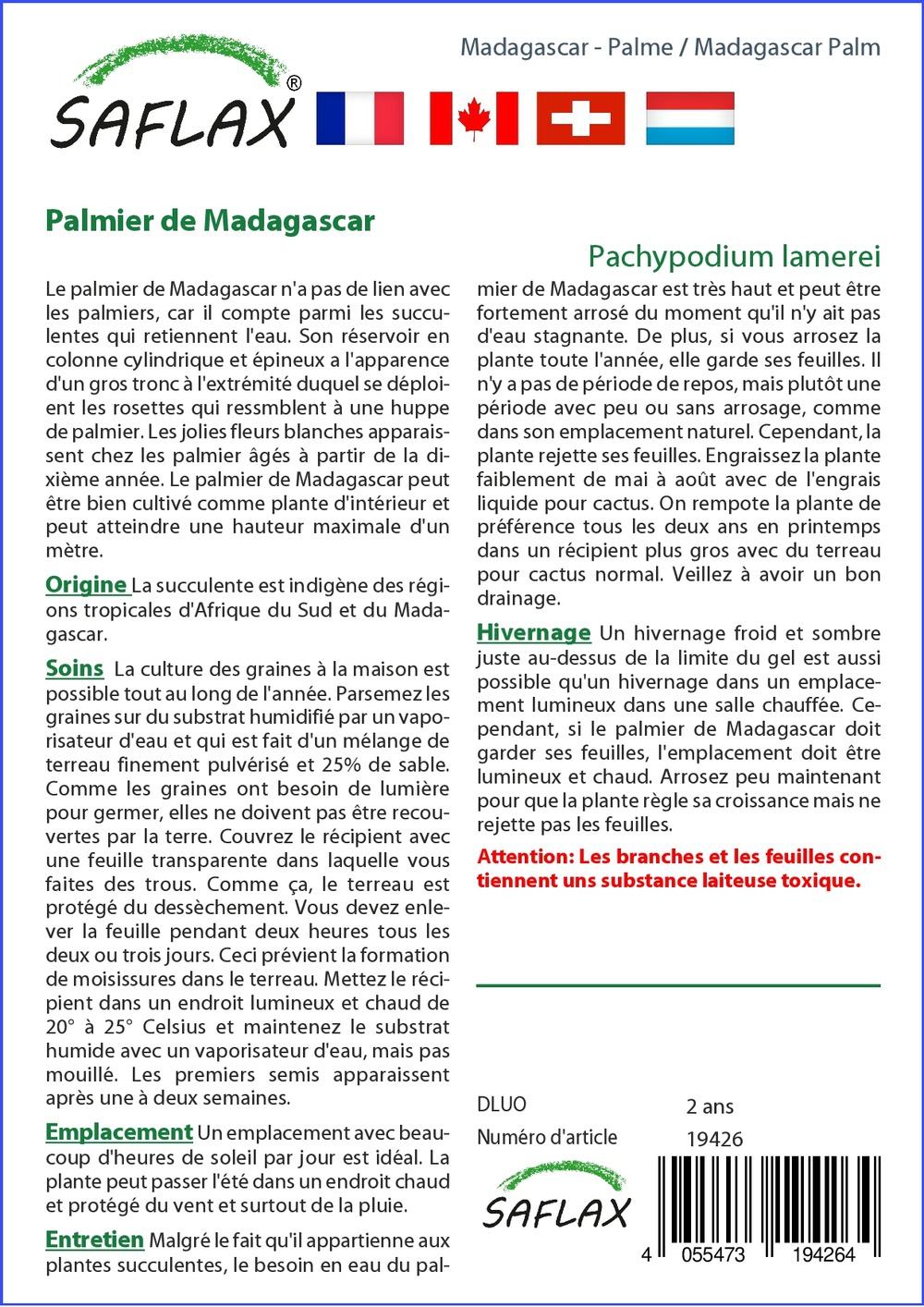 Kit cadeau - palmier de madagascar - 10 graines - pachypodium lamerei