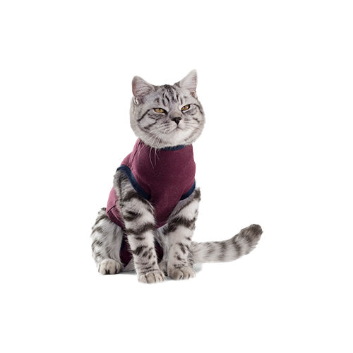 Jacketz Medical Body Suit Kat