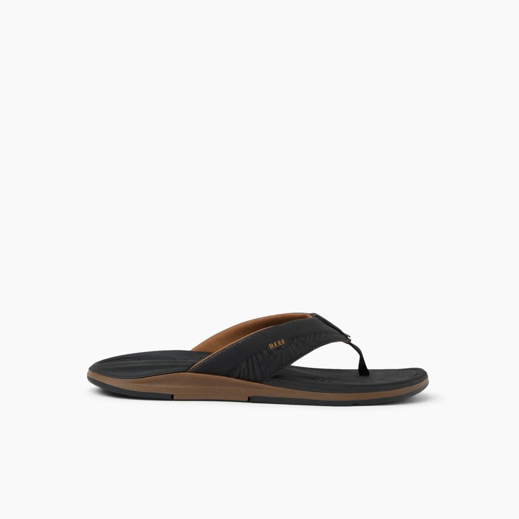Offshore Black Gum