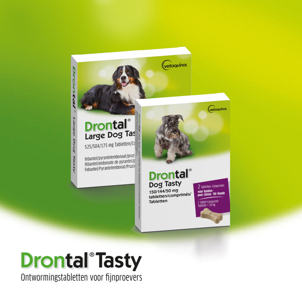 Drontal Dog Flavour Ontworming Tabletten Vanaf 10 kg6 tabletten