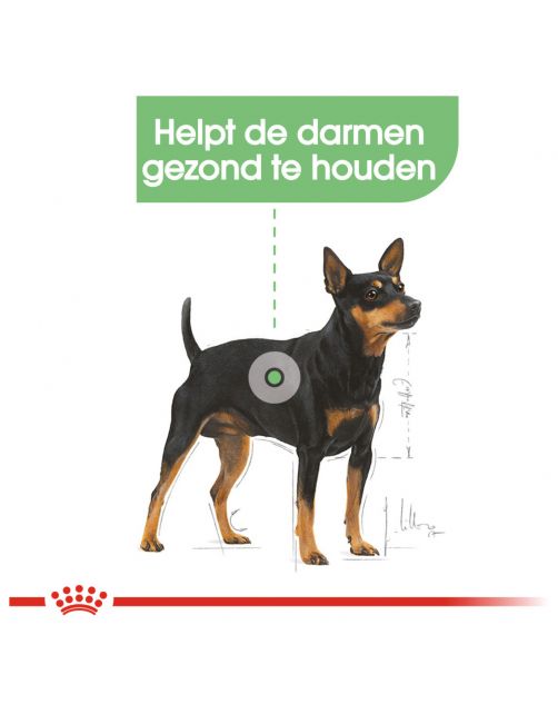Royal Canin Digestive Care Natvoer - Hondenvoer - 85 g