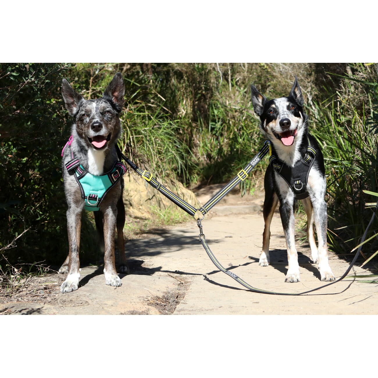 DOOG Neotech Harness GREEN S