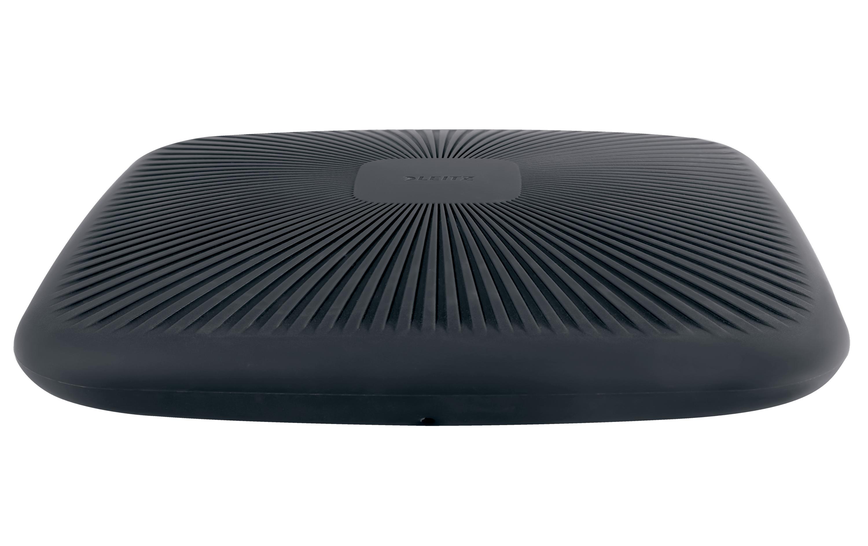Ergo Active BalancekissenBalancekissen
