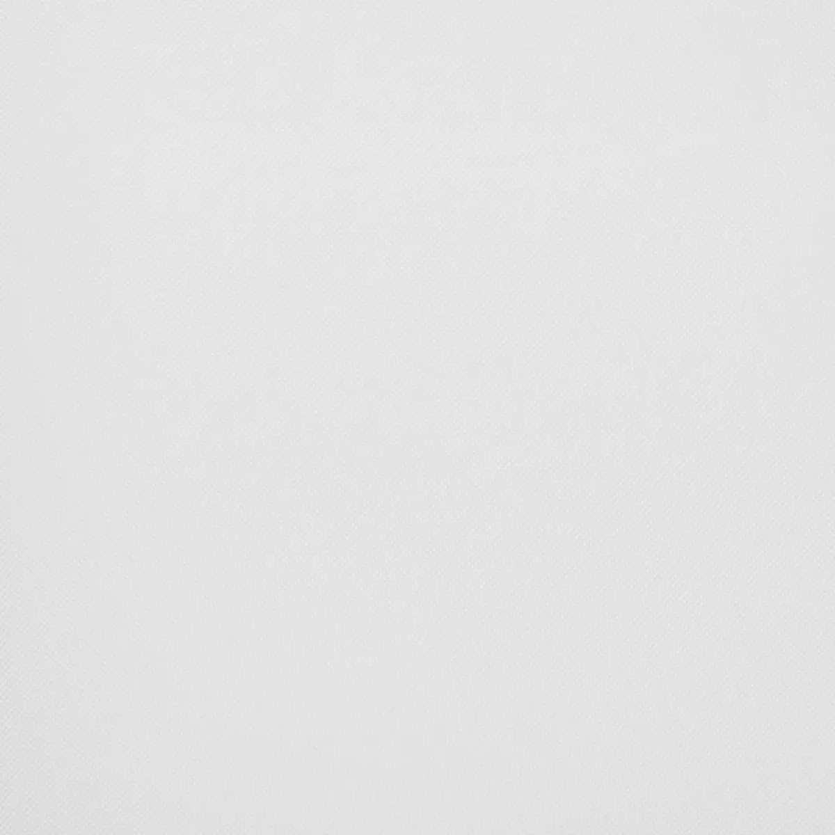 Tagvorhang Voile Beige