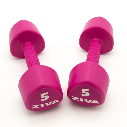 2 halteres rosa Ziva Chic Studio de 5 kg