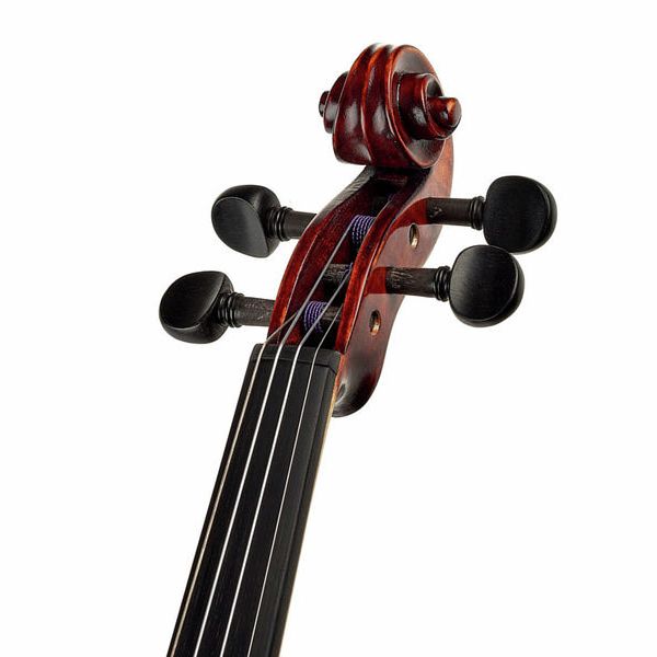 Roth & Junius Europe Antiqued Violin Set 4/4