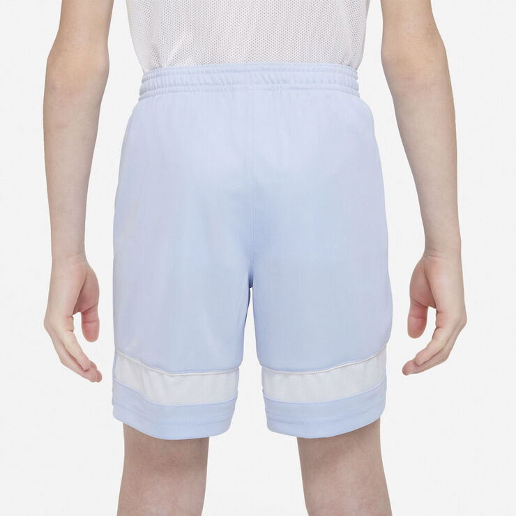 Nike Dri-FIT Academy træningsshorts Blå