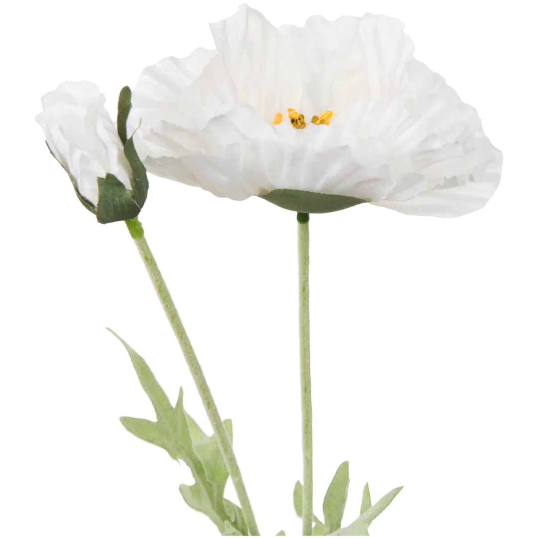 Cosmos artificielles
