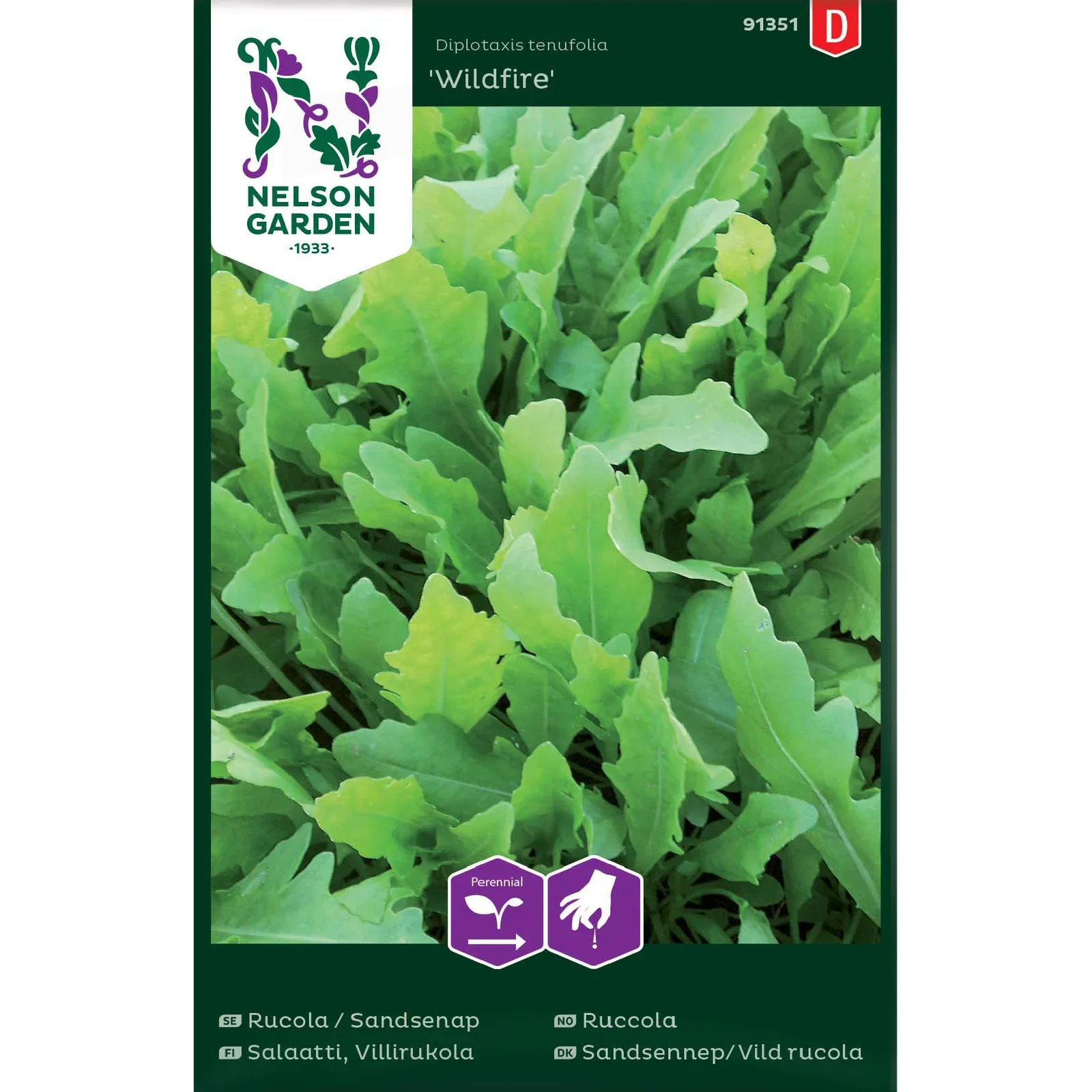 Diplotaxis tenufolia 'Wildfire' Ruccola 'Wildfire'