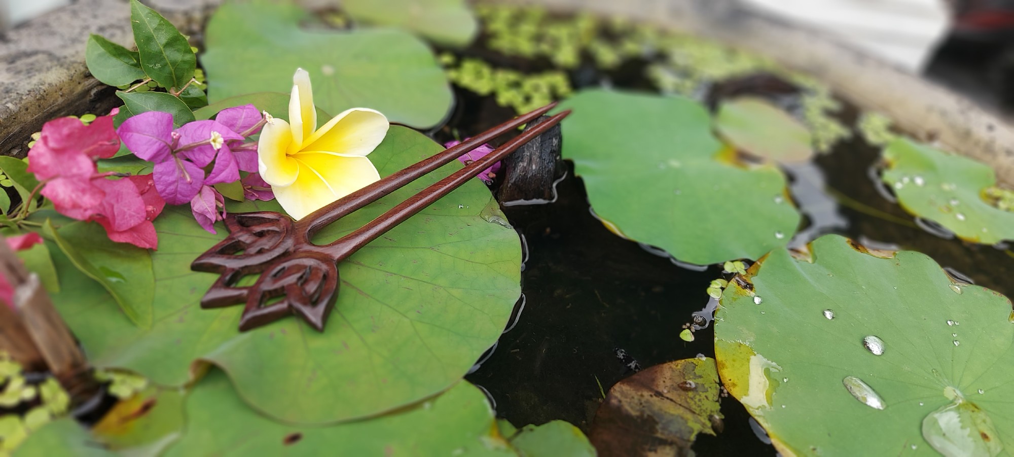 2er Haarnadel 'Lotus' aus Holz, L 17 cm, B 7 cm, H 0,7 cm günstig bestellen