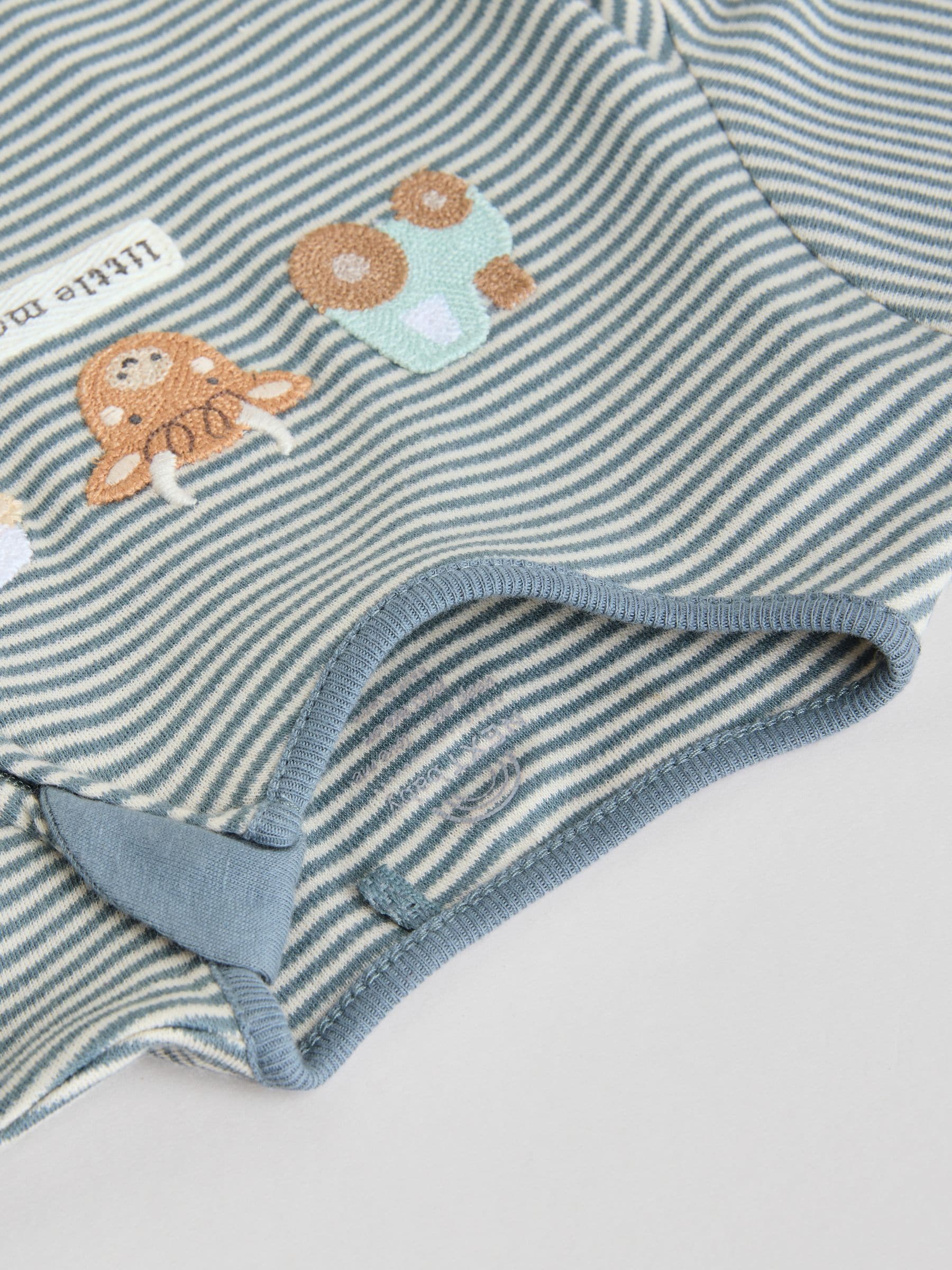 Mineraalkleurig - Verpakking van 4 Hamish-babypyjama's (0-2jr)