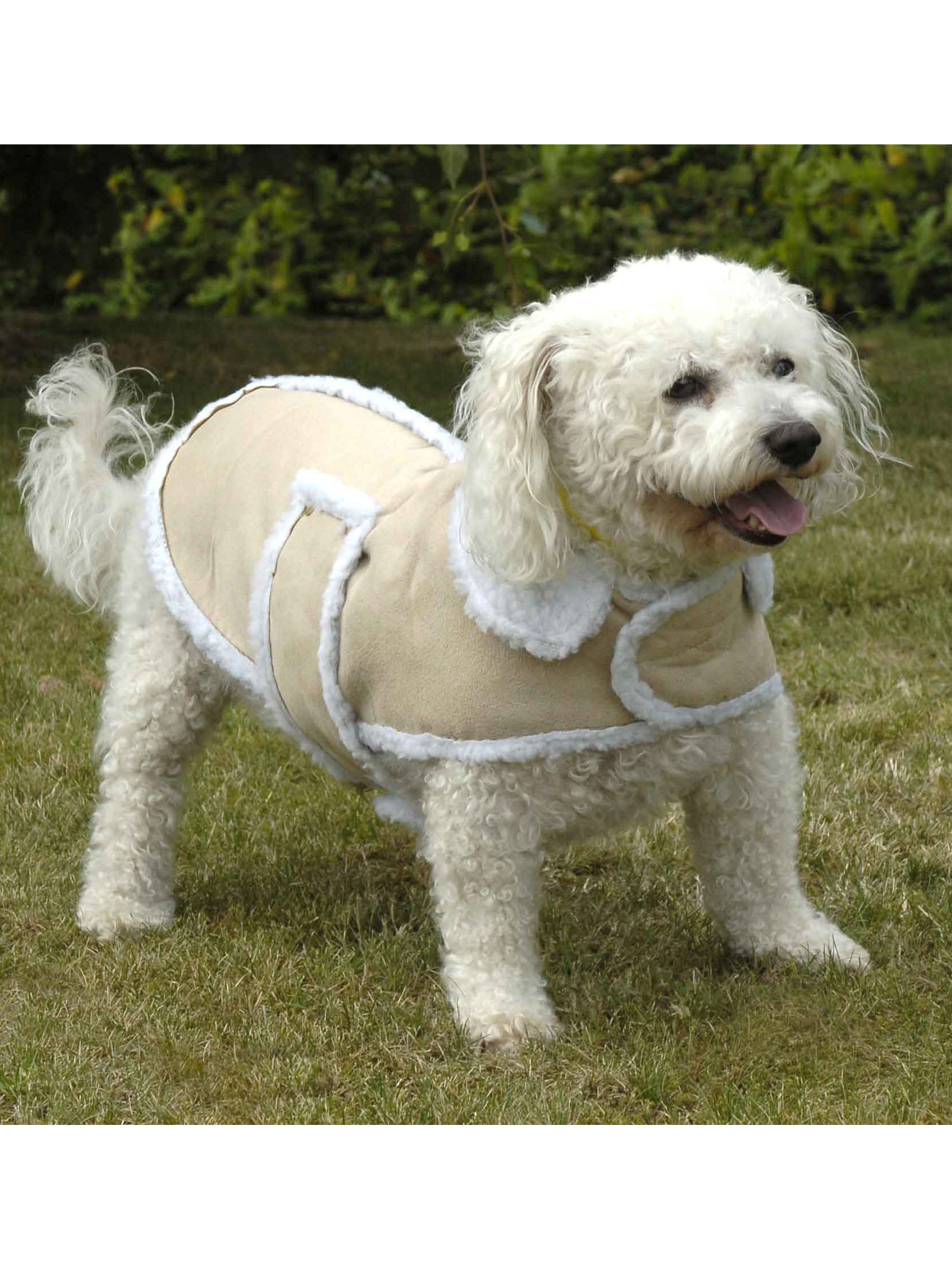 Manteau pour chien grands froids