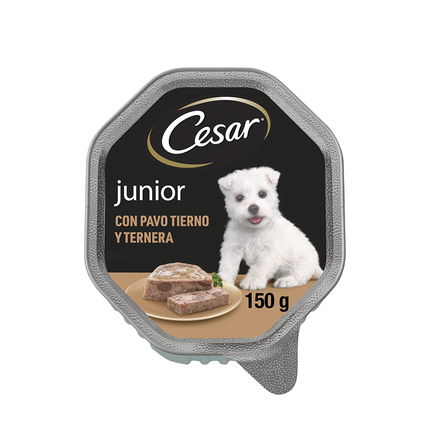 Pote de gelatina de peru e carne bovina Cesar para filhotes
