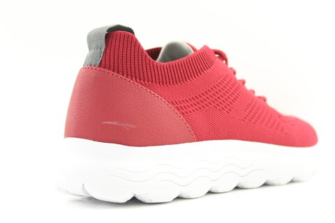 GEOX Schnürschuhe