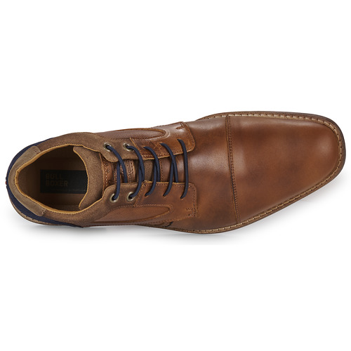Bullboxer -  - Marron
