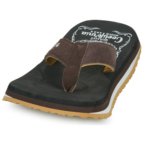 Cool shoe - ORIGINAL Negro / Marrón