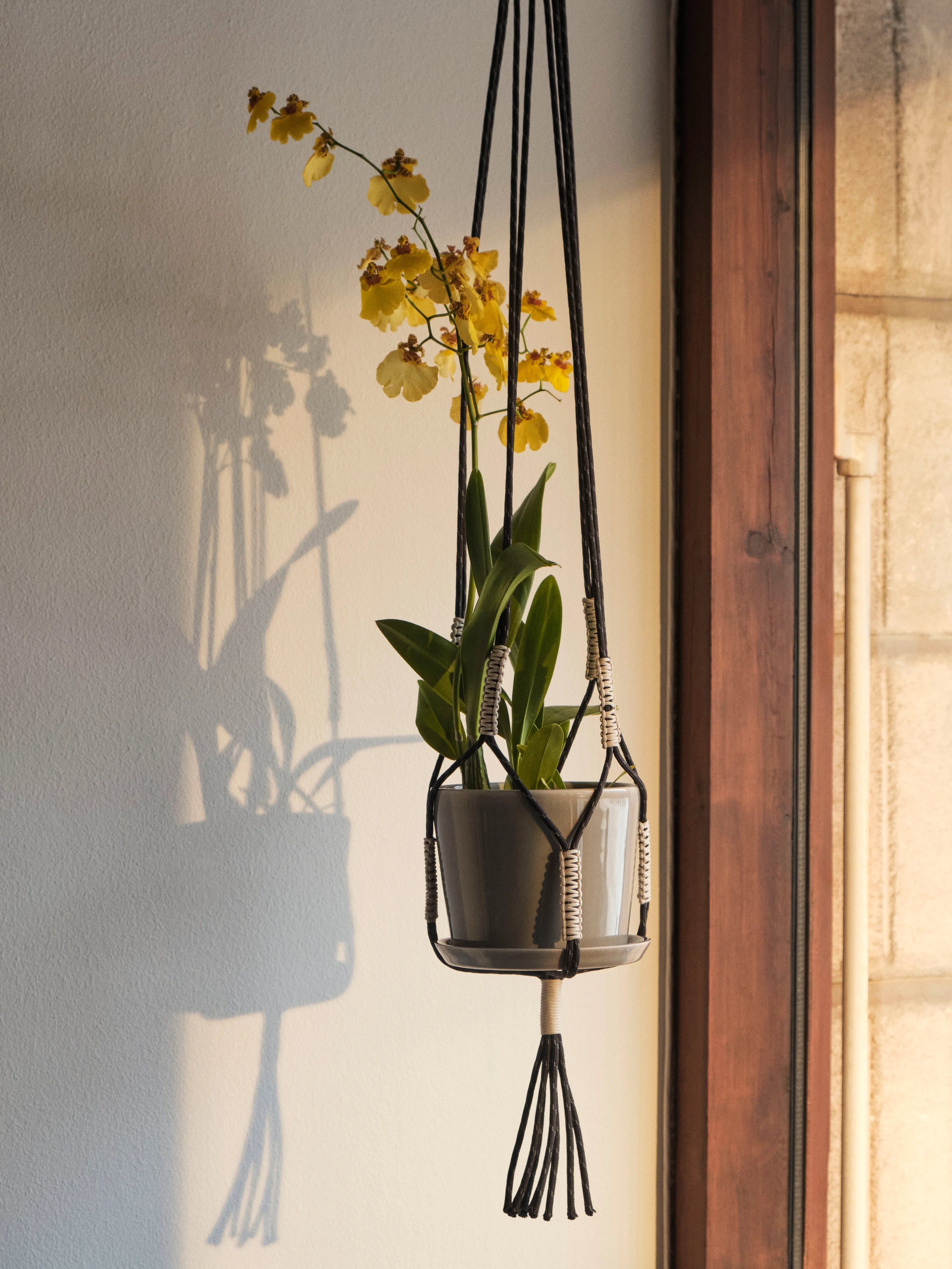 PHANTA - Support pour pot de fleurs tissu | Noir