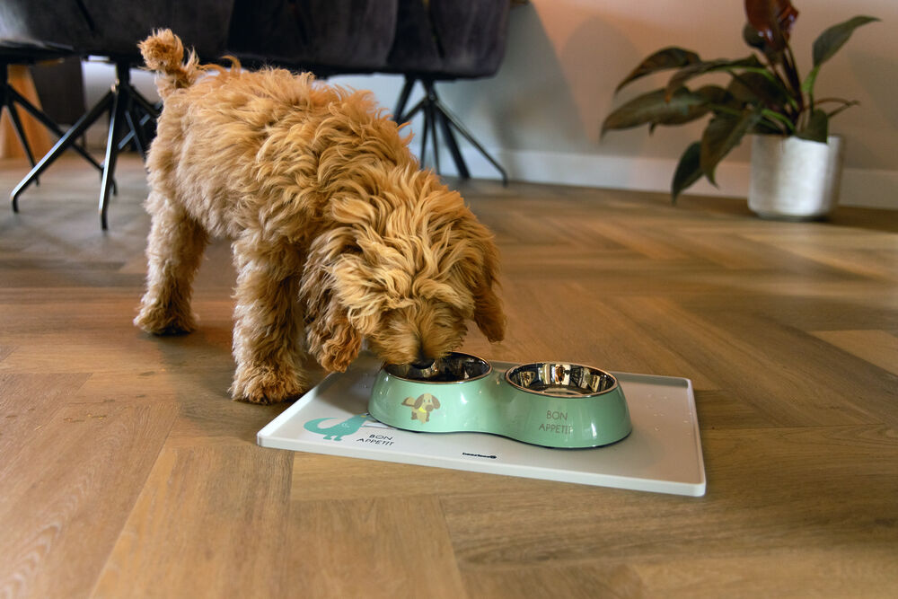 Beeztees Droppy  Dinerset - Puppy Voer & Drinkbak - Groen - 27 cm