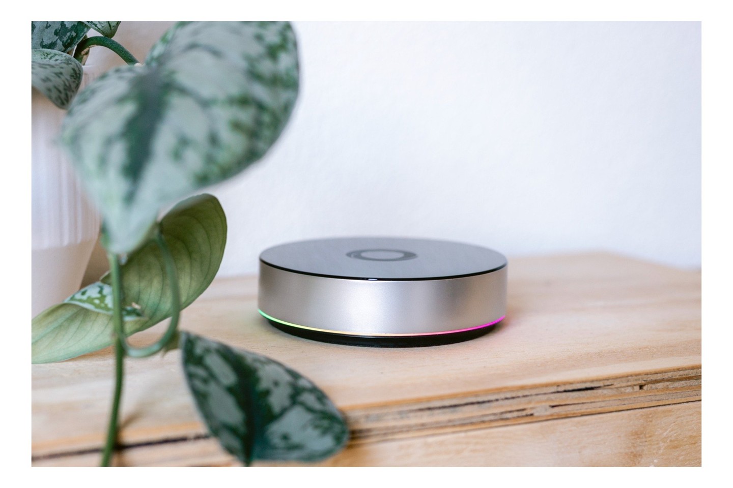 Homey - Bridge & Frient - Intelligent Røgalarm - Bundle
