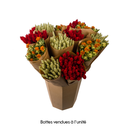 Botte de fleurs séchées - Orange