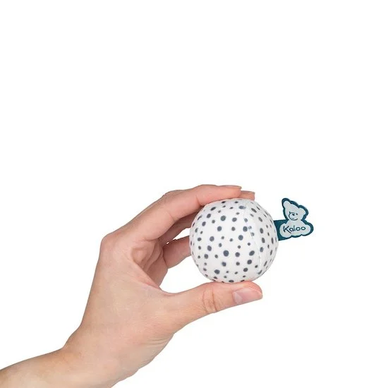 Lot de 5 Balles sensorielles pour Bébé   de               Kaloo
