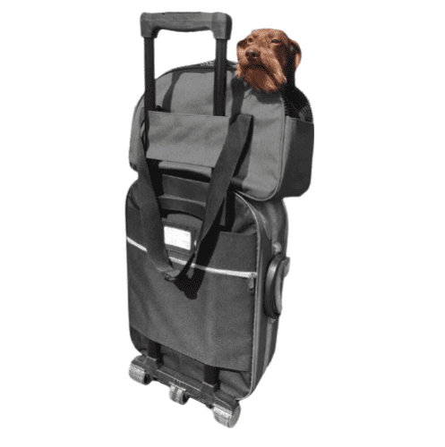 Bolsa de transporte Croisette Cinza 48x33x19cm