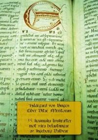 Hildegard von Bingen: Liber vitae meritorum : 35 kosmiska livskrafter mot våra belastningar