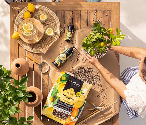 LECHUZA® CITRUSPON Spezialsubstrat