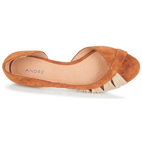 André - PIPA - Camel