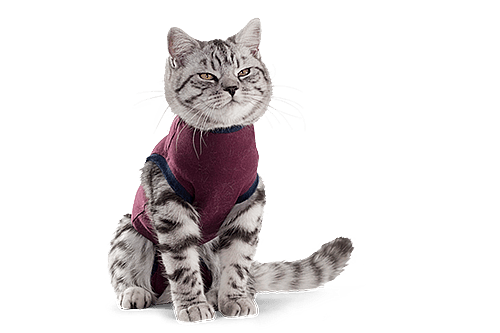 Jacketz Medical Body Suit voor Katten | Maat X-Small | 11771.2