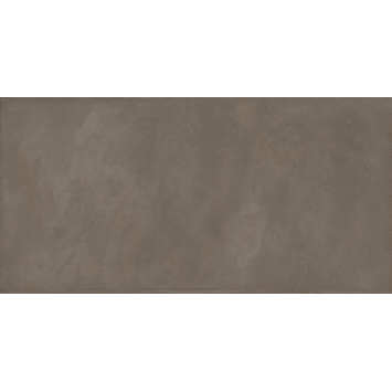Vloertegel Tundra taupe 60 x 120 cm keramiek 1,43 m²