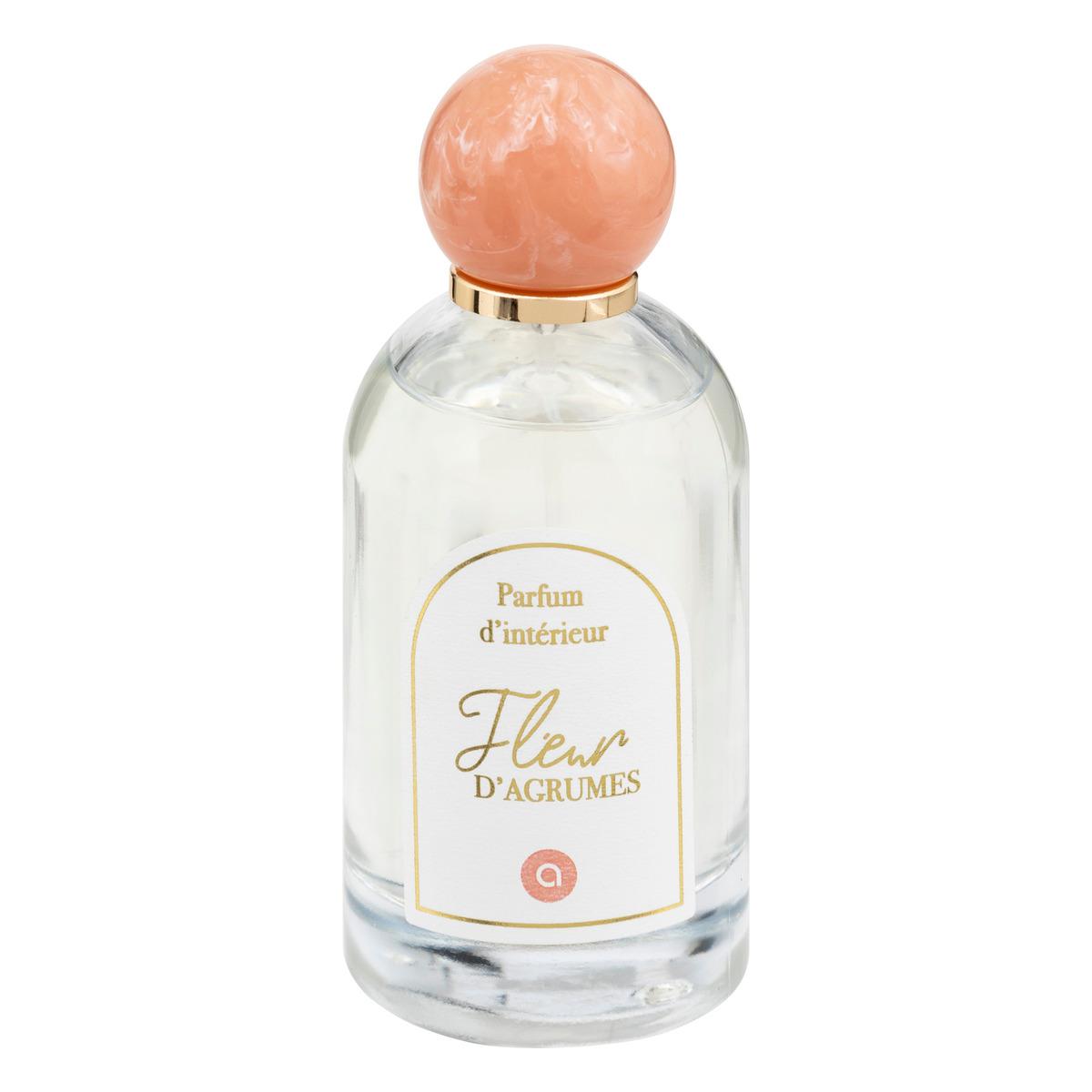 SPRAY AMBIANCE WILD 100ML