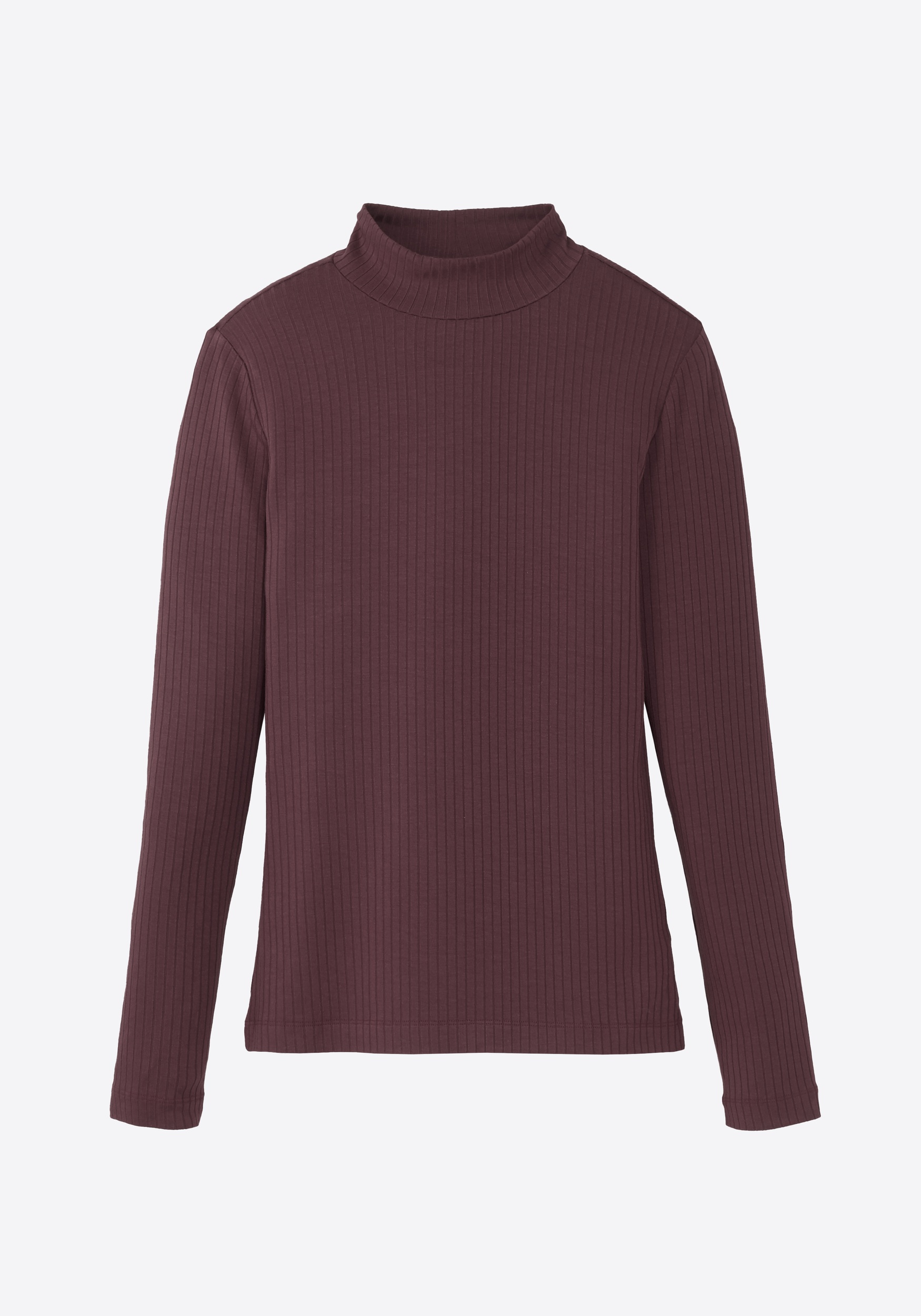 Recolution Longsleeve Crassula Dark Plum