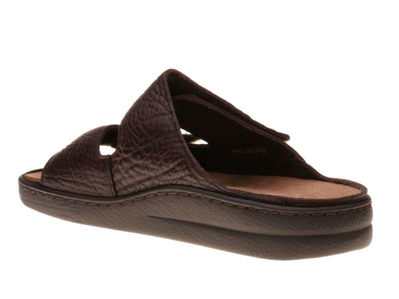 Mephisto James Bruin