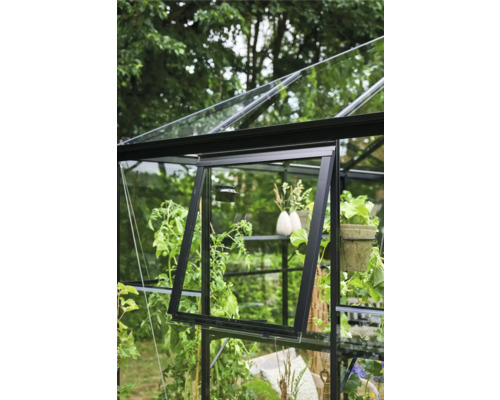 Kas Halls Qube Square 6,3 m² Veiligheidsglas 3 mm 251 x 251 cm zwart