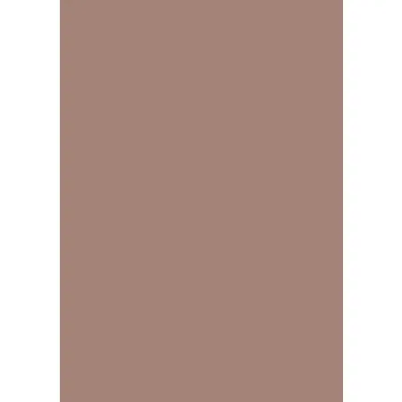 BRUNNEN Universalpapier A4 160g taupe 25Bl