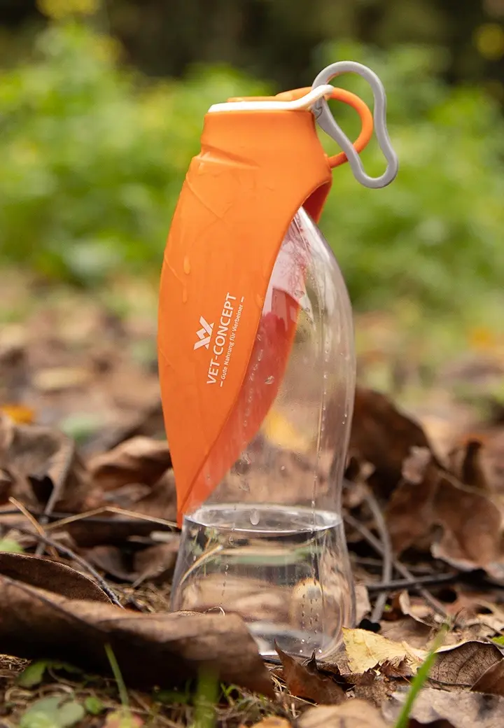 Reisetrinkflasche 