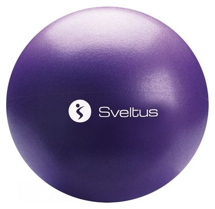 Ballon pédagogique Sveltus
