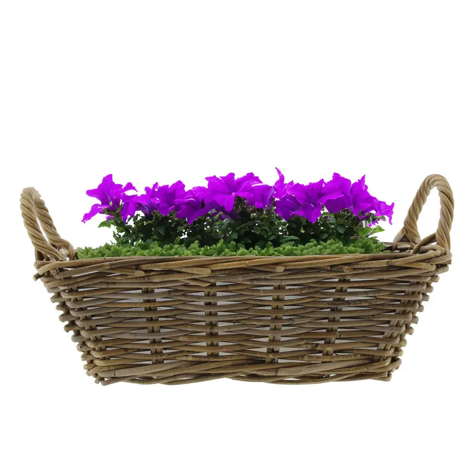 Van der Leeden Mand met hengsels - bruin - 42 x 27 x 14 cm -rotan
