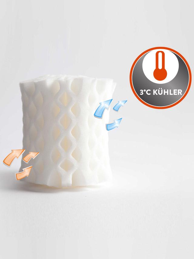 OctaSleep Smart Kissen