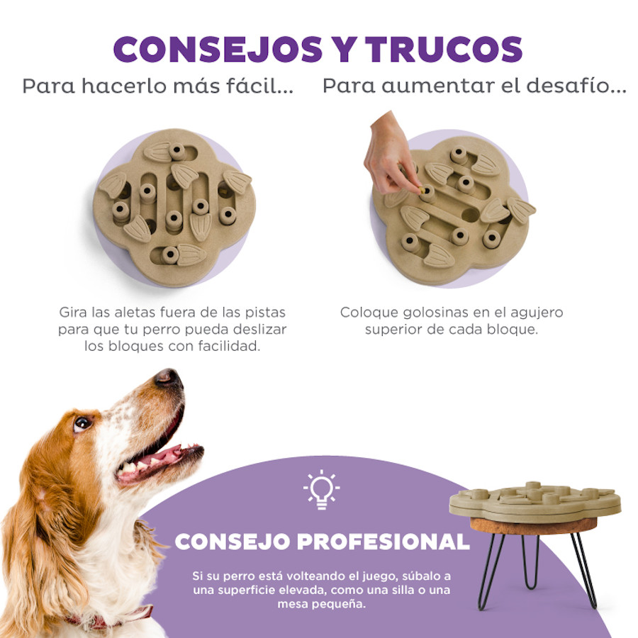 Quebra-cabeça Esconde-Esconde Nina Ottosson da Outward Hound para Cães