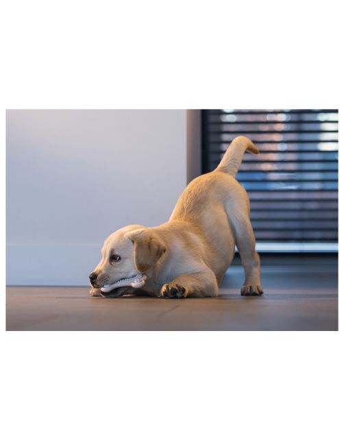 Beeztees Dental Bot Puppy 10x5.5 cm - Hondenspeelgoed