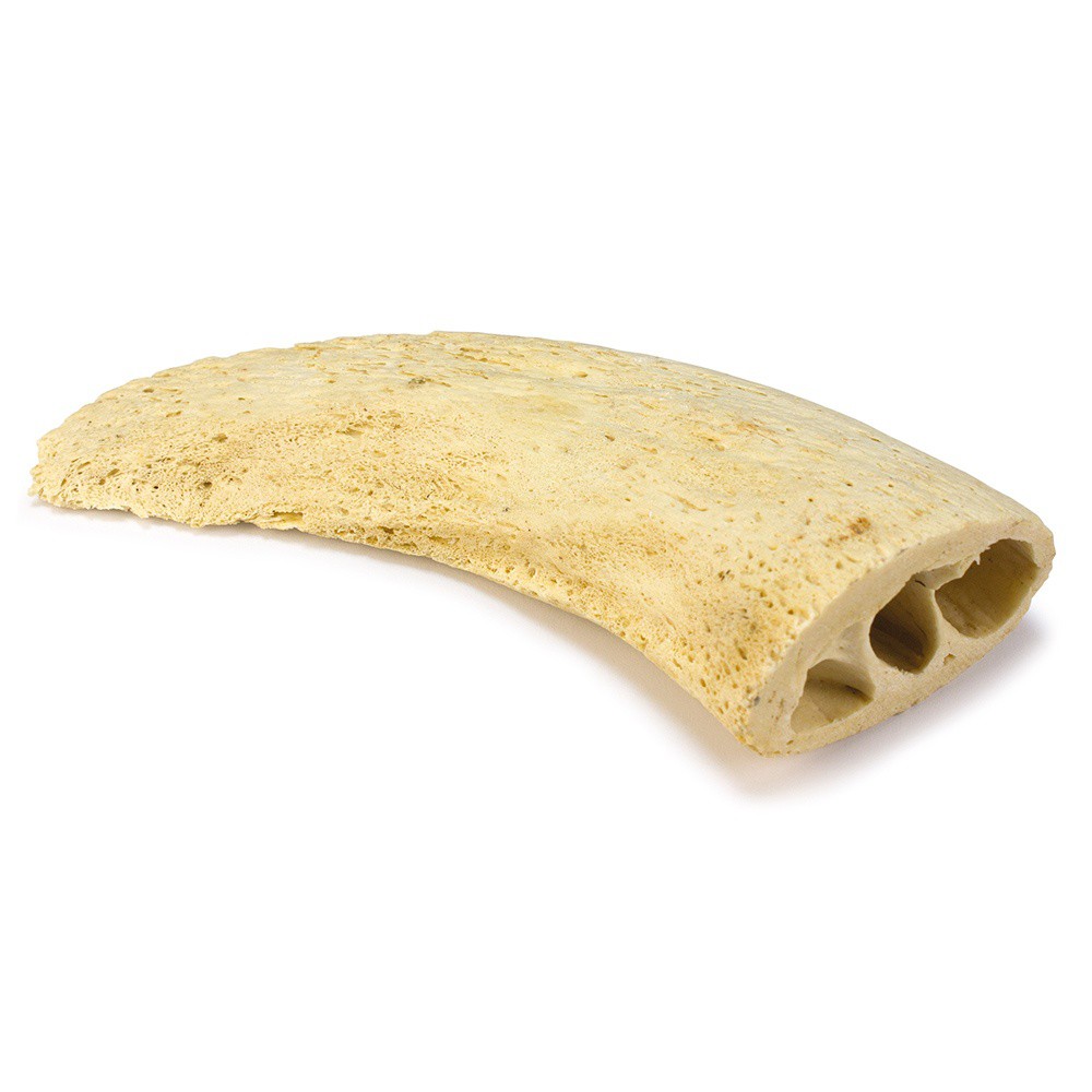 Núcleo de chifre de cachorro com sabor neutro