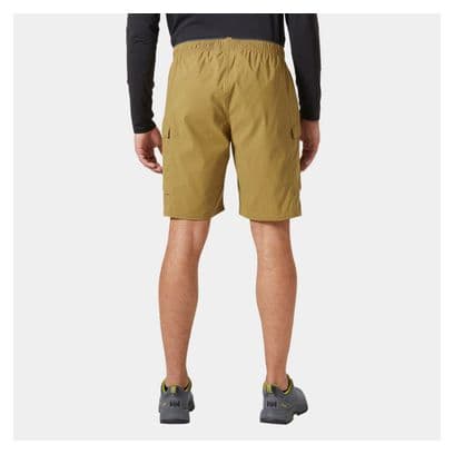 Short de Randonnée Helly Hansen Vista Hike Brun